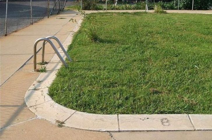 Illustration de l'article : 20 really odd situations snapped around the world