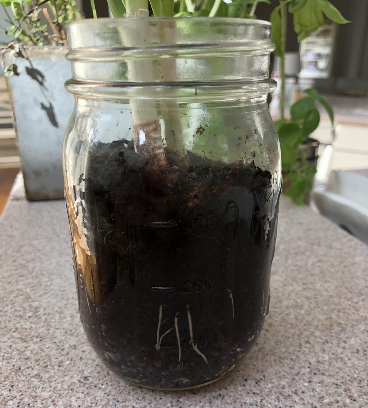 Illustration de l'article : 25 glitches that ended up producing a work of art