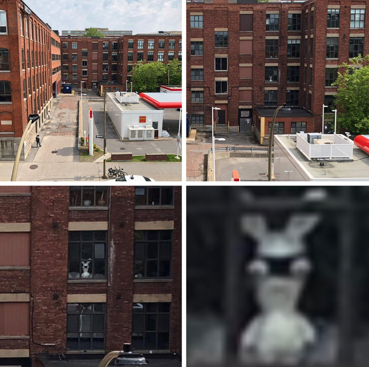 Illustration de l'article : 23 unsettling photos that require a closer look!