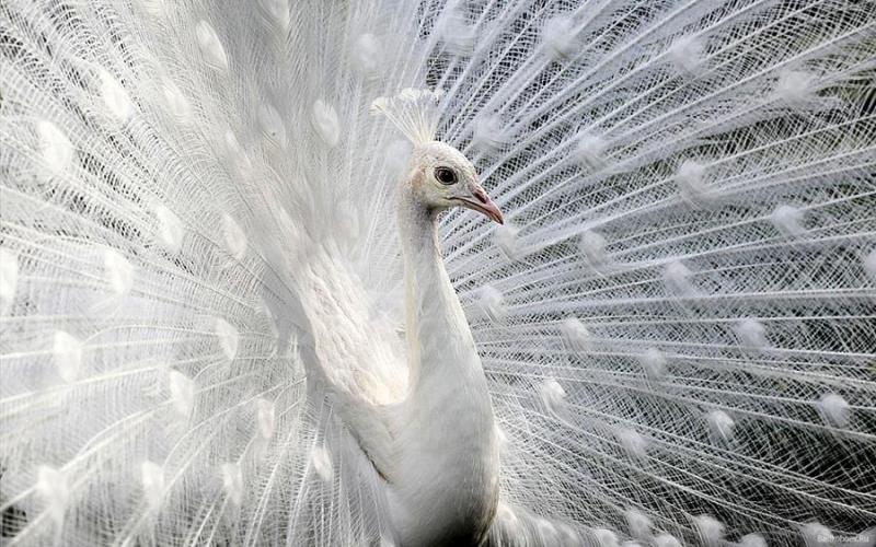 Illustration de l'article : 15 of the most awesome professional photographs you'll ever see!