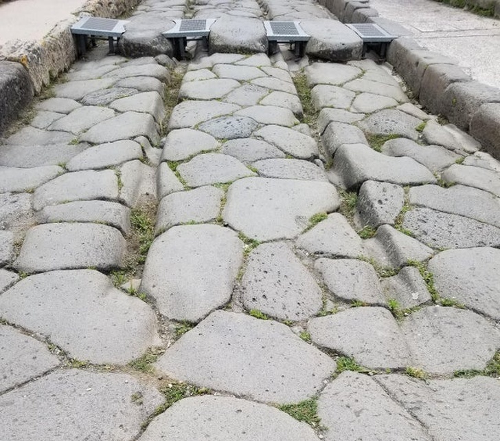 Illustration de l'article : 27 incredibly rare sights caught on camera