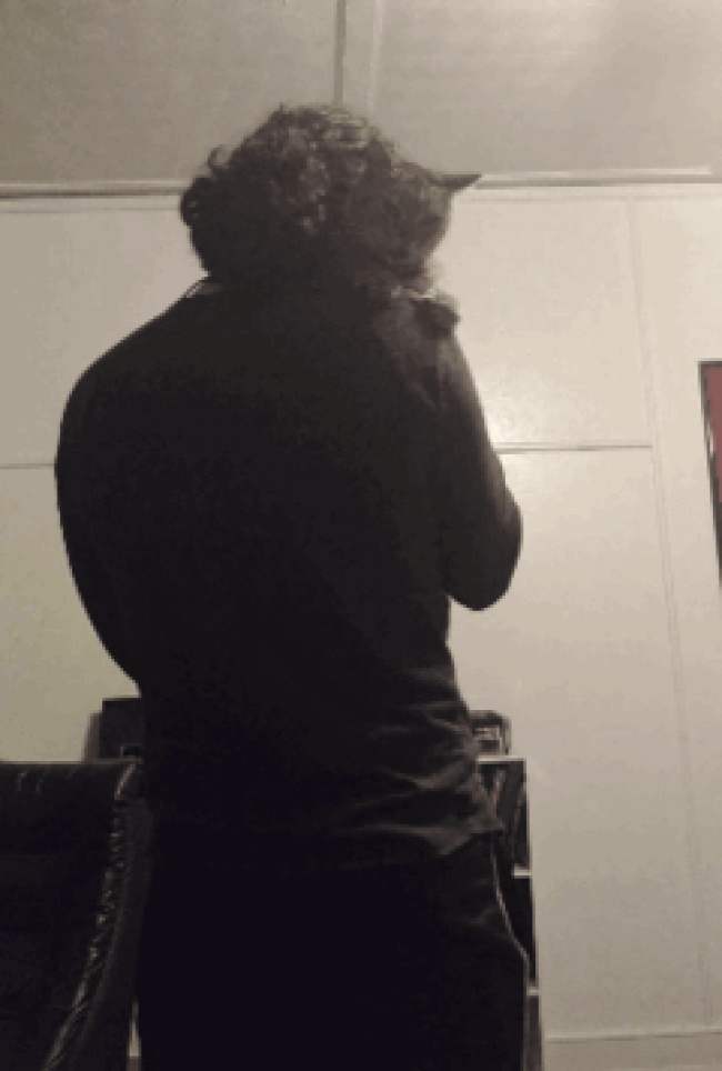 Illustration de l'article : 18 guys who are so adorable they deserve a medal